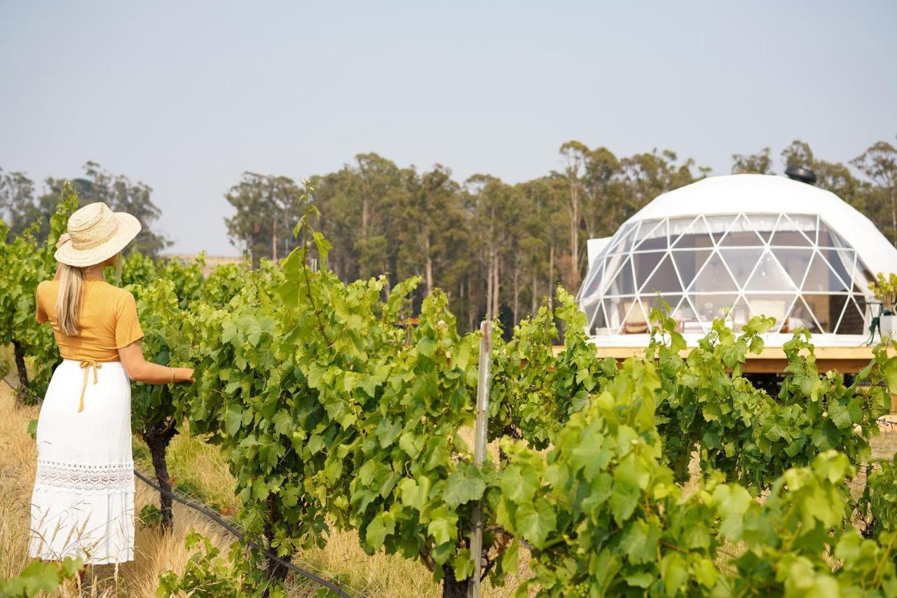 Villa Domescapes In The Vines Sidmouth Exterior foto